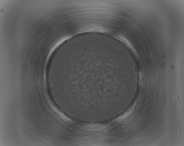 X0000066010780200603061256