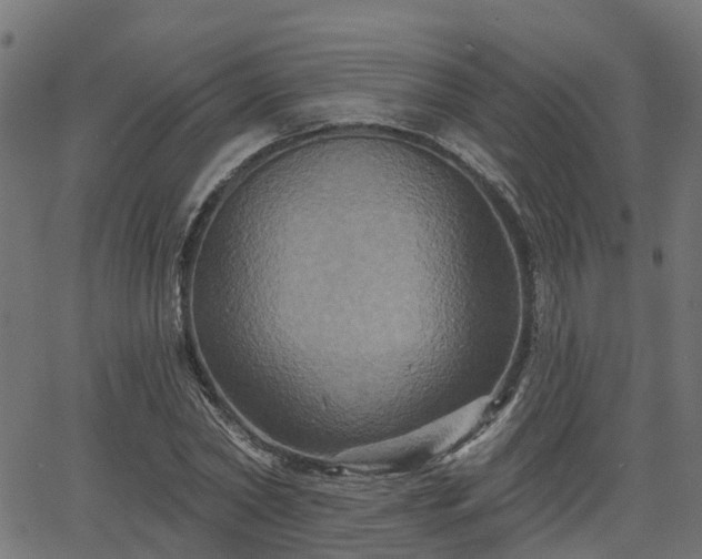 X0000066010782200603061256