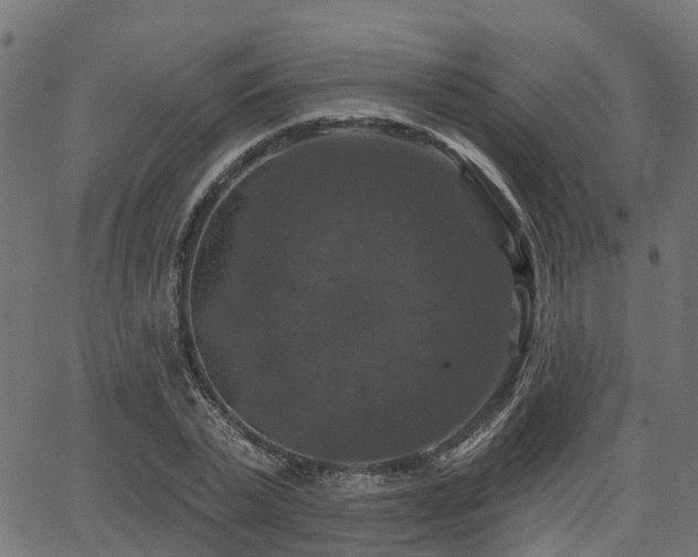 X0000066010783200603061256