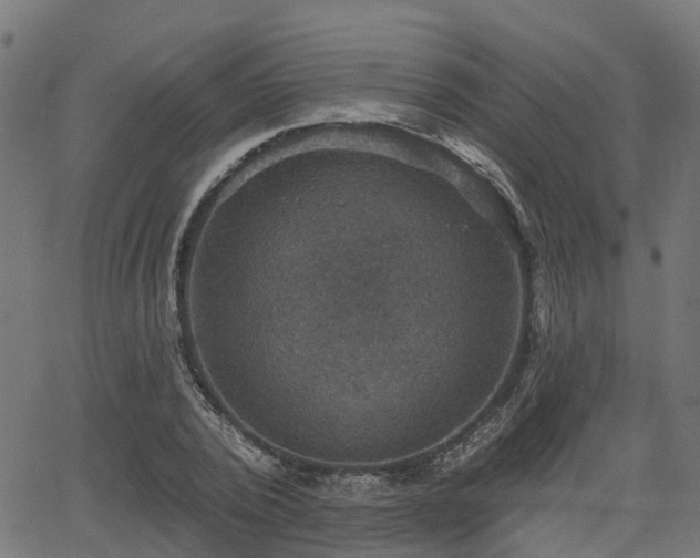 X0000066010784200603061256