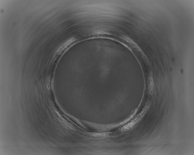 X0000066010785200603061256