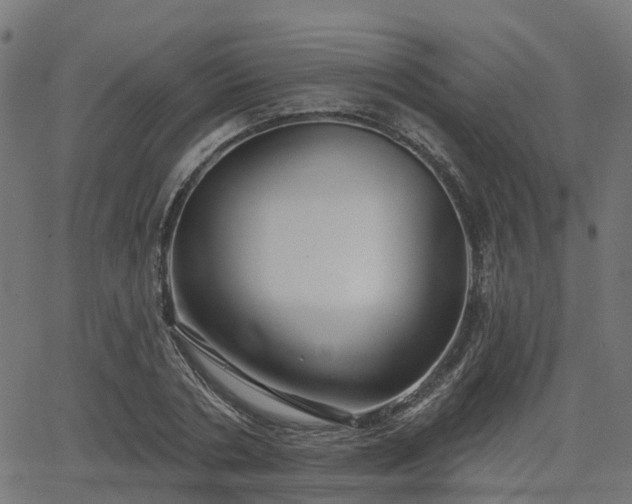 X0000066010786200603061256