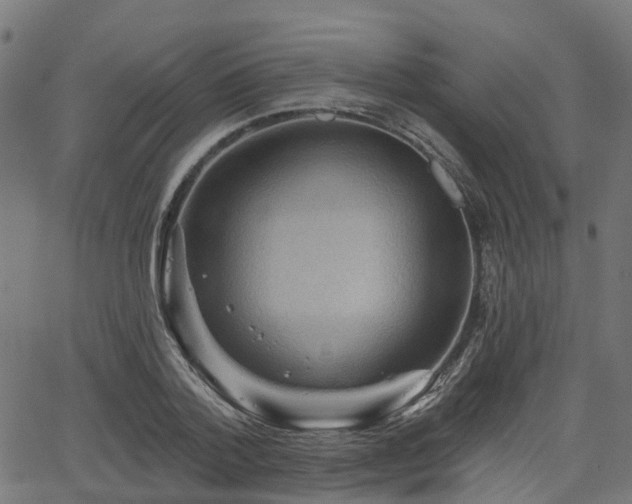 X0000066010788200603061256