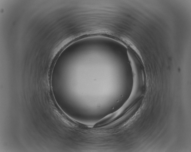 X0000066010789200603061256