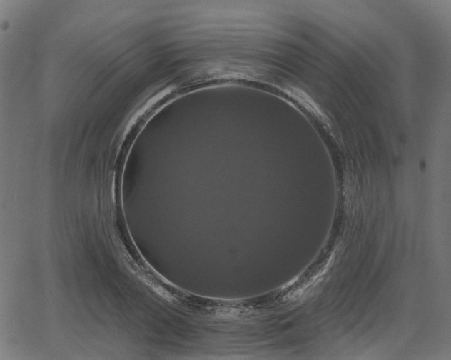 X0000066010790200603061256