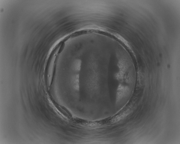 X0000066010791200603061256