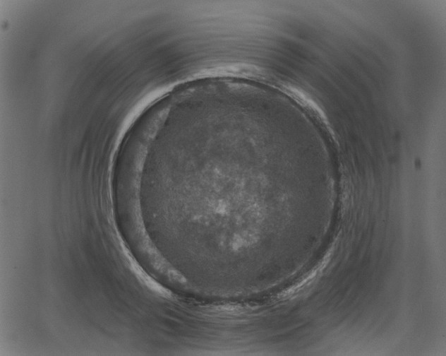 X0000066010792200603061256