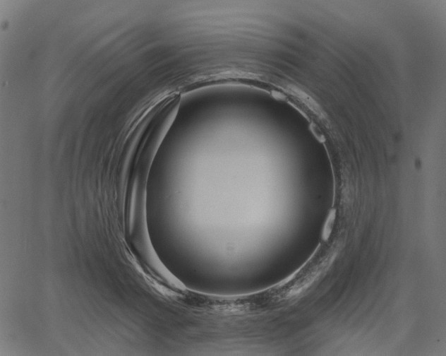 X0000066010793200603061256