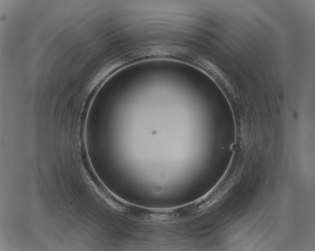 X0000066010794200603061256