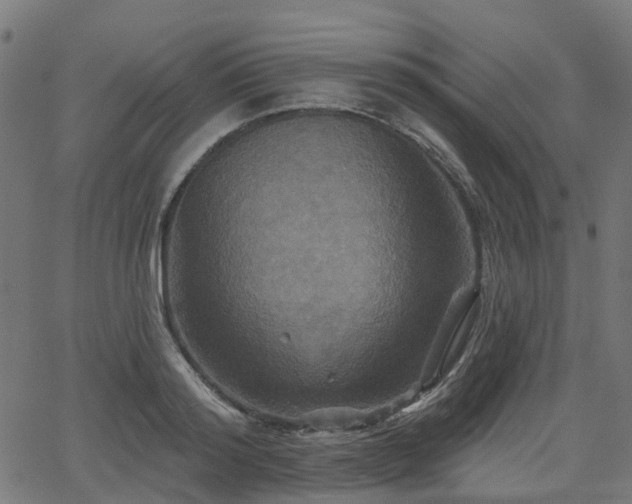 X0000066010796200603061256