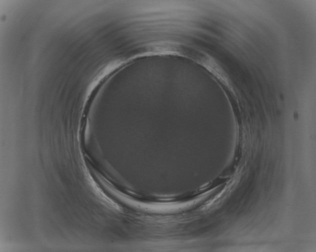 X0000066010797200603061256