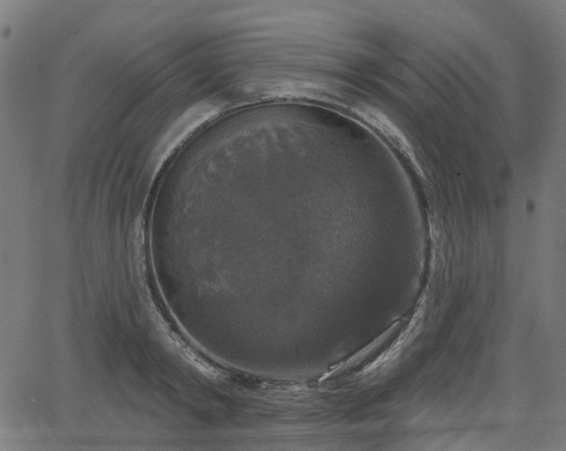 X0000066010798200603061256