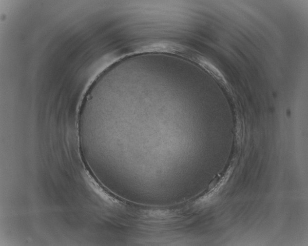 X0000066010800200603061256