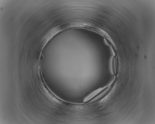 X0000066010802200603061256