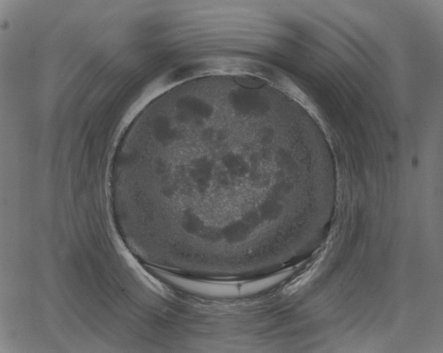 X0000066010803200603061256