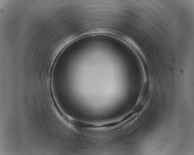 X0000066010805200603061256