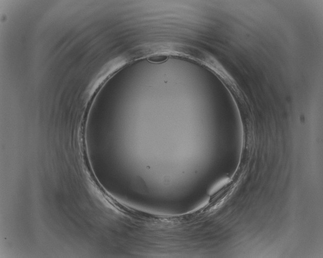 X0000066010806200603061256