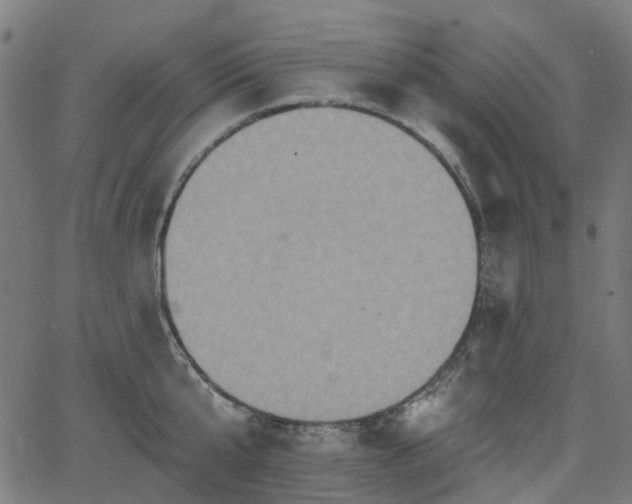 X0000066010807200603061256