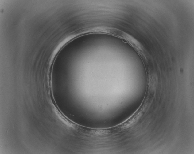 X0000066010808200603061256