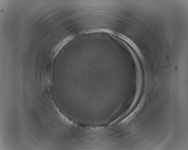 X0000066010809200603061256