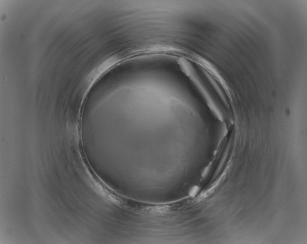 X0000066010810200603061256