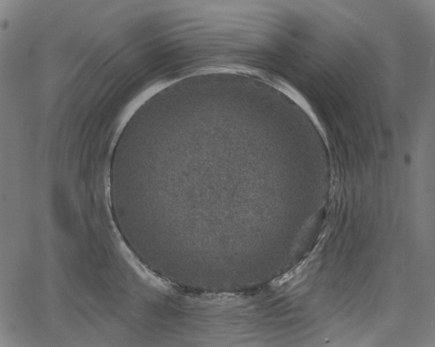 X0000066010811200603061256