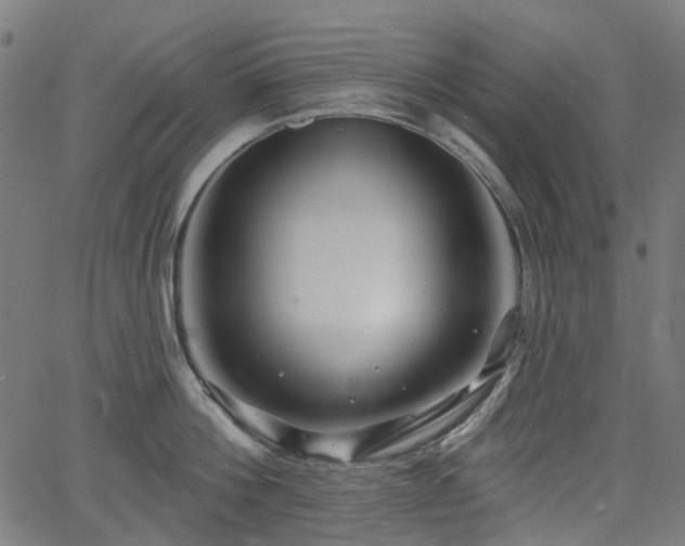 X0000066010812200603061256