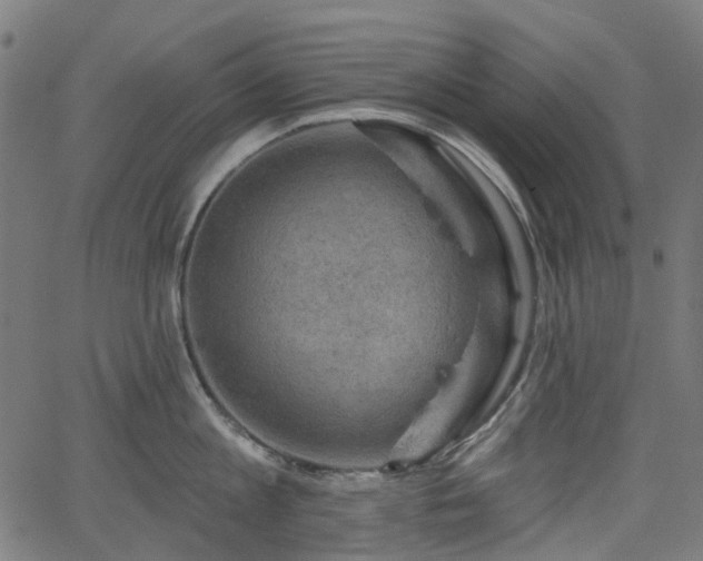 X0000066010813200603061256