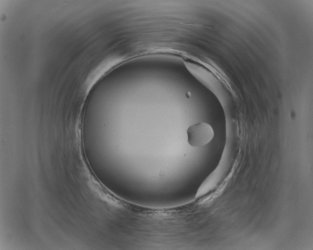 X0000066010814200603061256