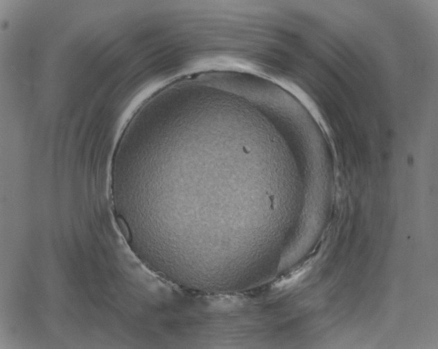 X0000066010815200603061256