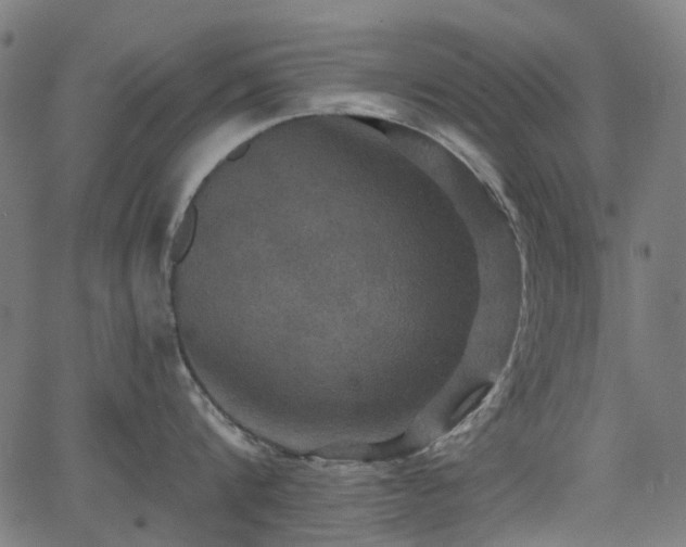 X0000066010816200603061256