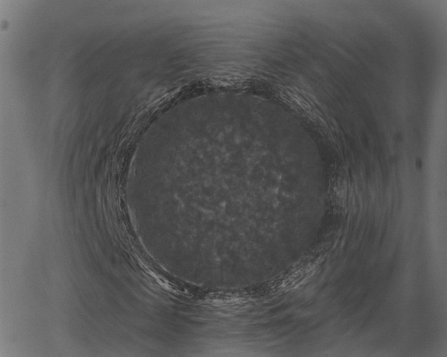 X0000066010817200603061255