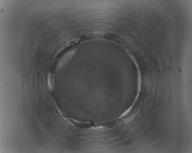 X0000066010818200603061255