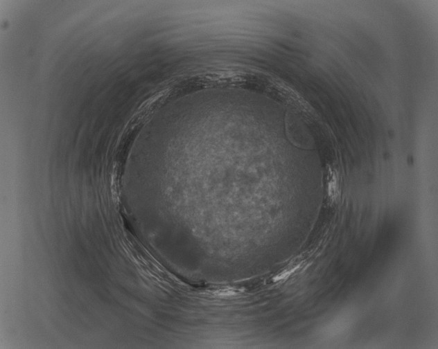 X0000066010819200603061255