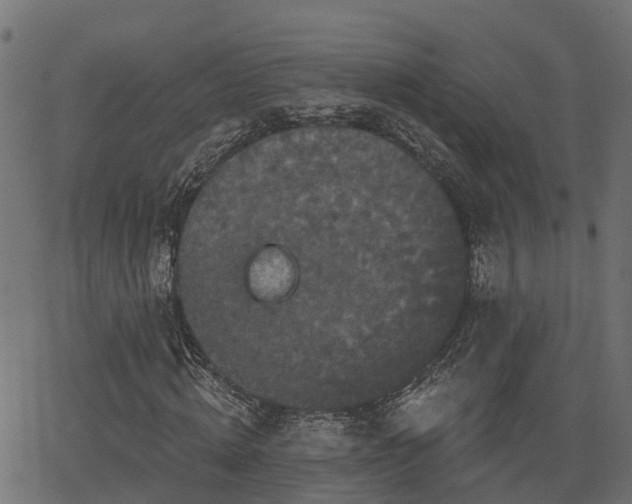 X0000066010820200603061255