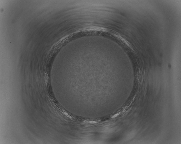 X0000066010821200603061255