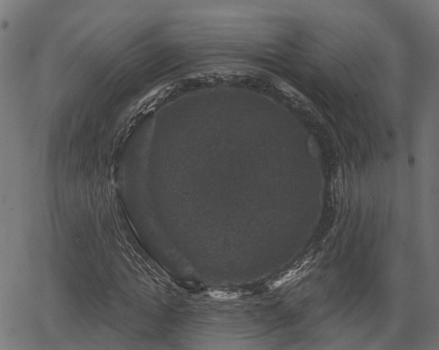 X0000066010822200603061255