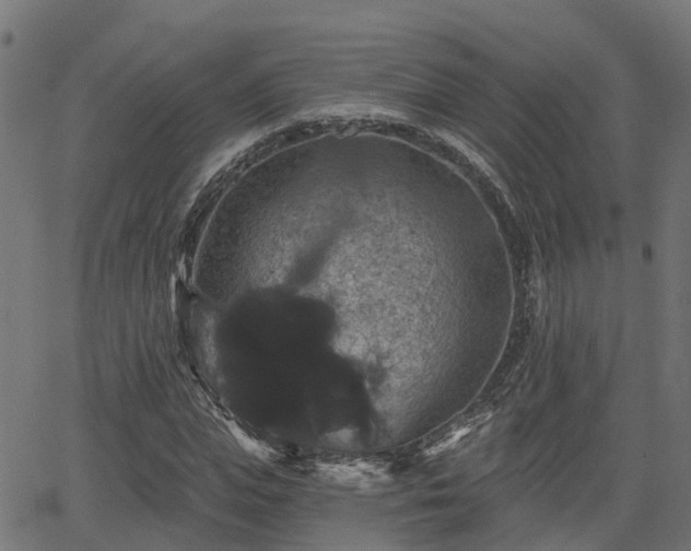 X0000066010823200603061255