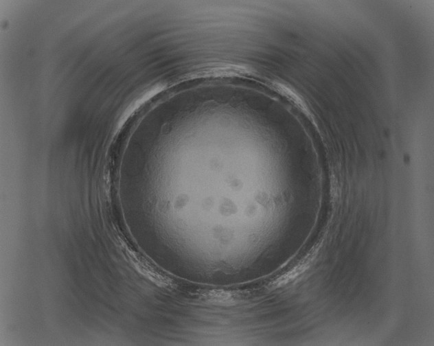 X0000066010827200603061255