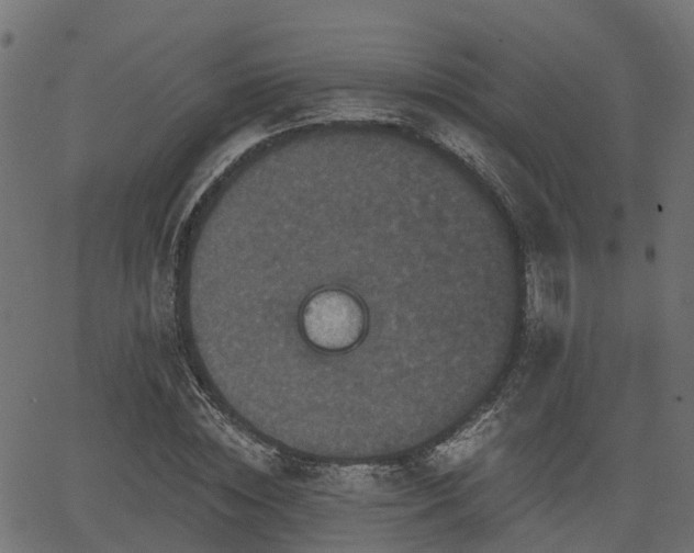 X0000066010828200603061255