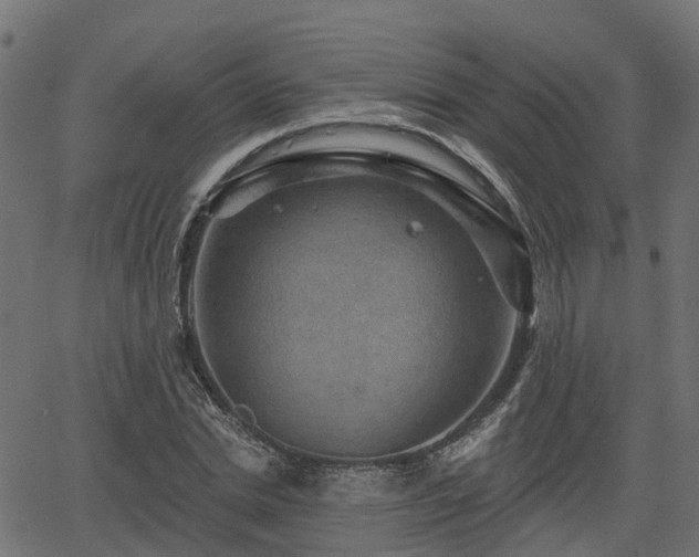 X0000066010830200603061255