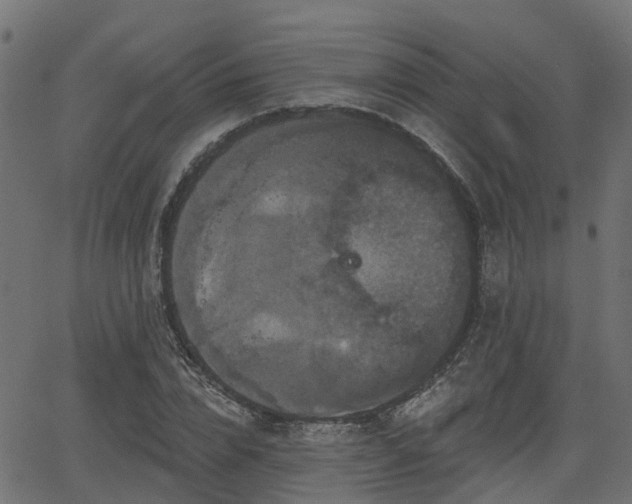 X0000066010832200603061255