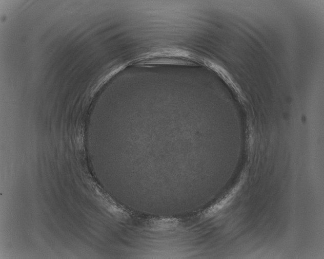 X0000066010833200603061255