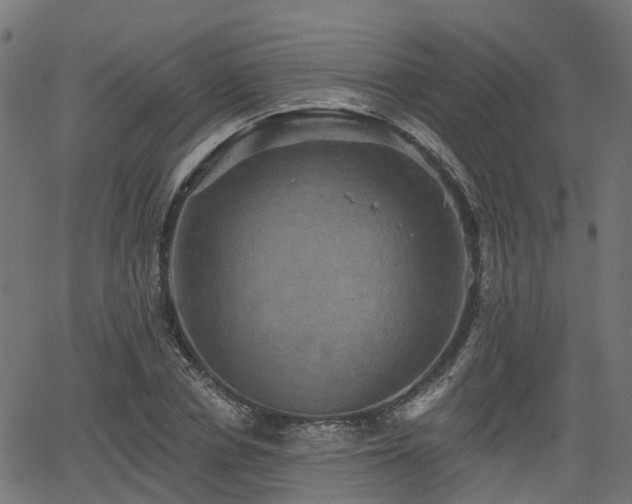 X0000066010834200603061255