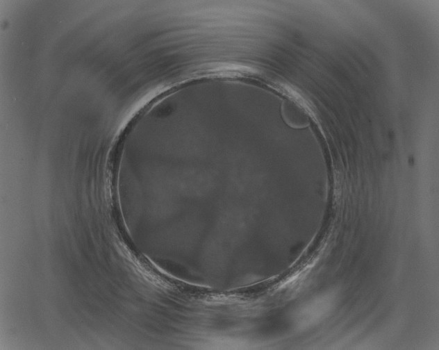 X0000066010835200603061255