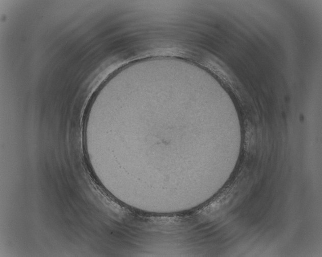 X0000066010836200603061255