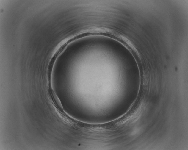 X0000066010837200603061255