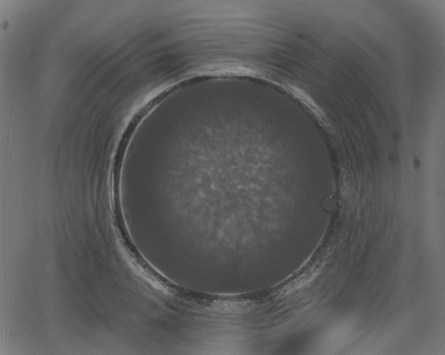 X0000066010840200603061255