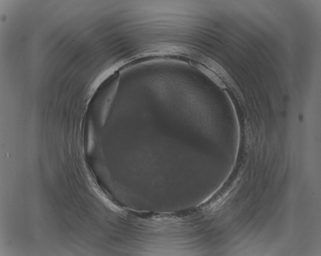 X0000066010842200603061255