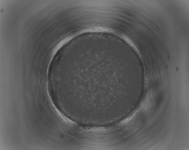 X0000066010845200603061255